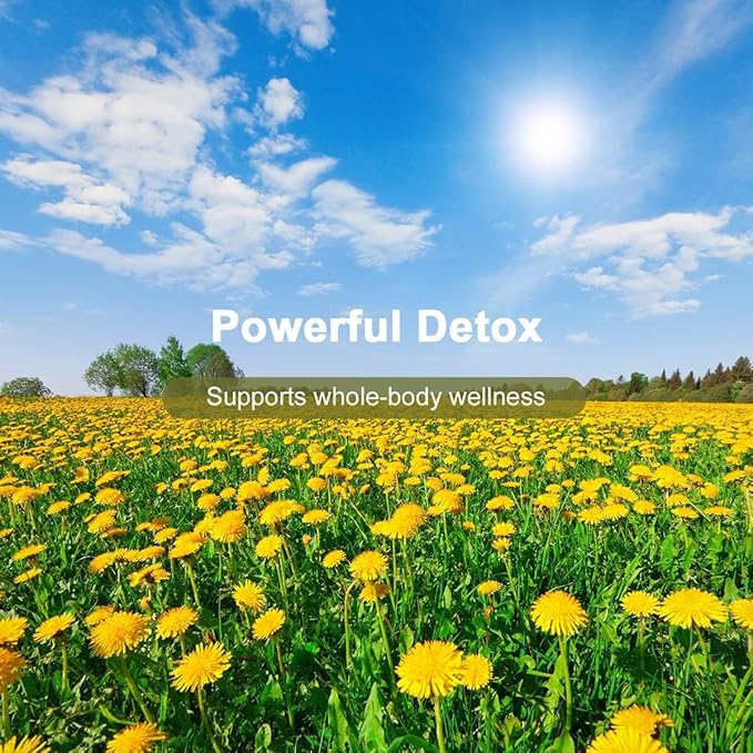 EILIN Dandelion Root Tea Bags Roasted Herbal Leaves 2Gram x 100 Counts