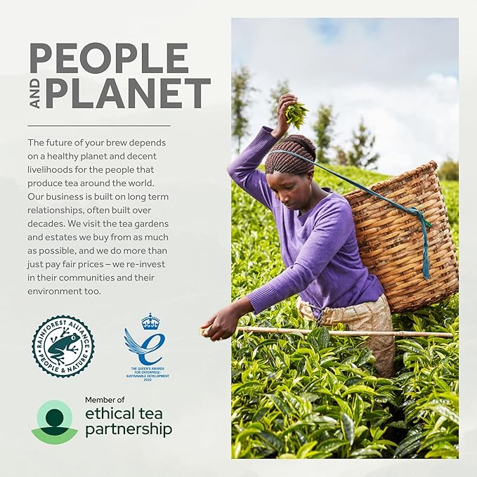 Yorkshire Tea Caramelised Biscuit Brew, Pillow Tea Bags, 40 Count (Pack of 4), Caffeinated, Enjoy Hot or Iced, 40 Teabags