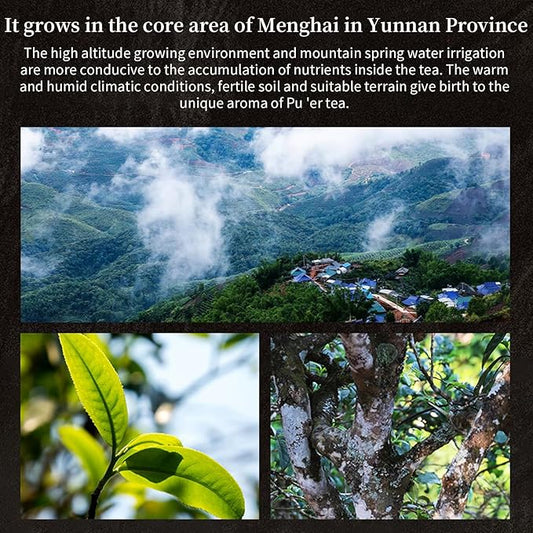 XIXICHA Pu-erh Tea Loose Leaf 250g/8.81oz Ripe Puerh Chinese Tea Yunnan Ancient Tree Puer Loose Leaf Black Tea 普洱茶 熟茶 宫廷普洱茶 云南勐海普洱茶