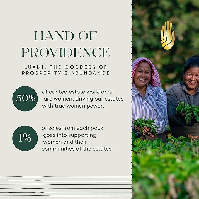 Luxmi Estates Pure Dandelion Herbal Organic Dandelion Tea (50 Tea Bags) Caffeine Free Tea Bags For Detox, Cleansing, and Digestion, With Certified Organic Dandelion Root Tea