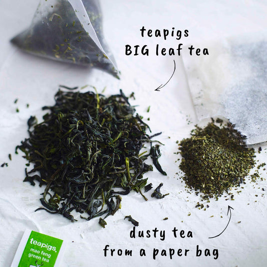 teapigs, Mao Feng Green Tea, Made with Whole Leaves, Whole Leaf Tea Temples, 50 Count, Pack of 50, Delicate, Peachy & Smooth