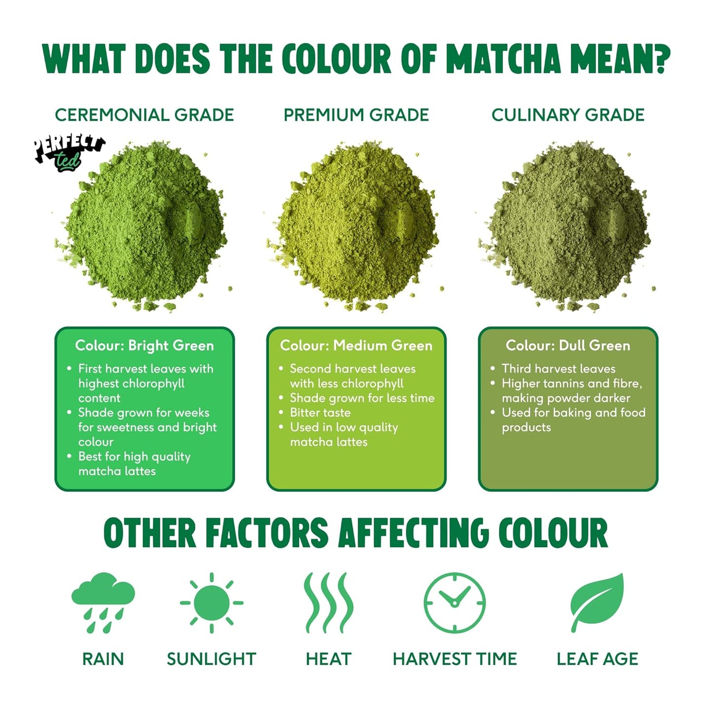 PerfectTed Matcha Powder, Ceremonial Grade Japanese, 30g (30 Servings), Perfect for Lattes & Smoothies | Premium Matcha Fuel | with L-Theanine | Antioxidants | Vegan | Gluten-Free