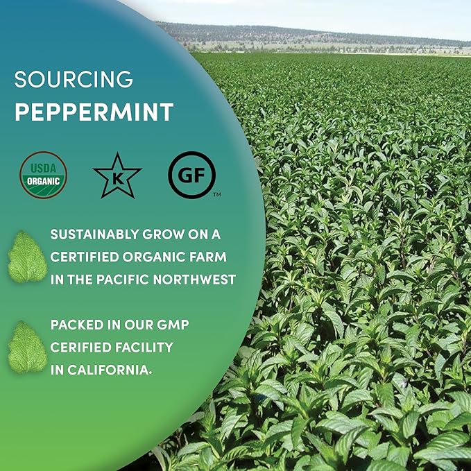 Worldwide Botanicals Organic Peppermint Loose Leaf Tea, 1 lb - Pacific Northwest Organic Cultivation, Highly Aromatic Digestive Tea, Antioxidant, Caffeine Free, 16 ounce