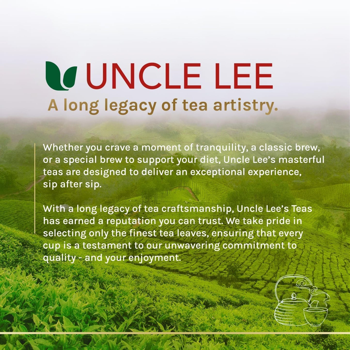 Uncle Lee’s Organic White Tea - Premium Tea for Everyday Wellness, Low Caffeine, Antioxidant-Rich White Tea Bags, Individually Wrapped, 100 Count