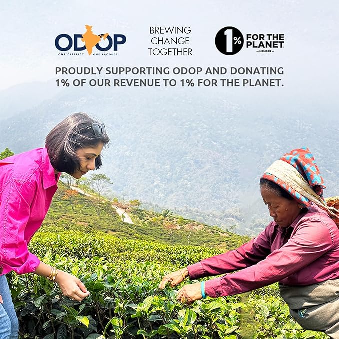 Celeste Zesté Mint, Ginger Mint Tea with Lemon | 20 Pyramid Green Tea Bags | 100% Natural Ingredients