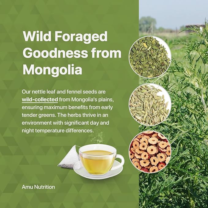 Amu Nutrition's Balanced Digestion Tea with Mongolian Nettle Leaf, Jujube, Fennel - 10 Sugarcane Teabags