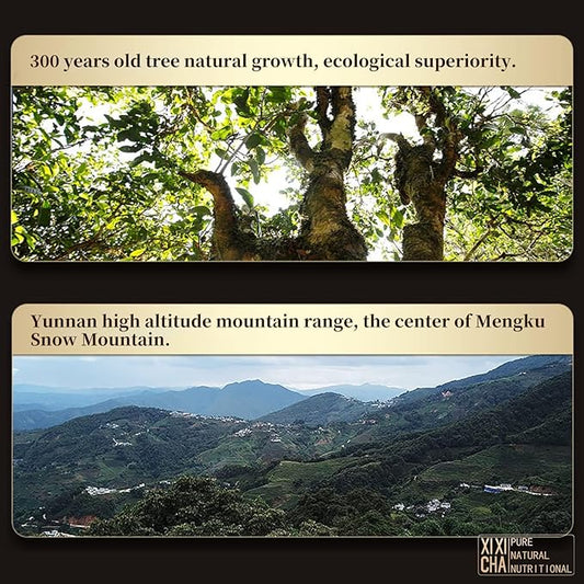 XIXICHA Pu-erh Tea Cake 357g/12.6oz Ancient Trees Ripe Puerh Tea 2008 Years Chinese Yunnan Pu’er Tea BlackTea Fermented Traditional Craft 普洱茶 熟茶 古树普洱茶 云南勐海