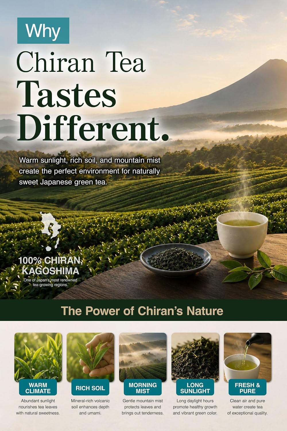 Fukamushi Sencha "Platinum Edition" – Japanese Loose Leaf Green Tea, 100-Year Legacy, First Flush, Deep Steamed, Roasted by Tea Masters, Loose Leaf, from Chiran Kagoshima, 3.5 oz / 100g – KAZAEMON Tea