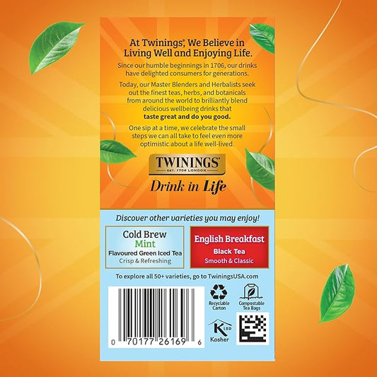 Twinings Mixed Berries Cold Brew Iced Tea Bags, 20 Count (Pack of 1), Unsweetened Flavoured Black Tea, Caffeinated, 20 Teabags