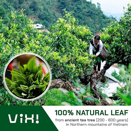 VIXI Puerh Tea, 48 Counts, Vietnam's Mountain Tea, Pu erh Tea Bricks, 100% Natural from Ancient Tea Tree, Premium Pu-erh Tea for Hot and Cold Brew