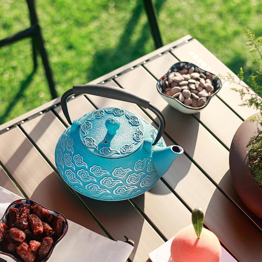 Cast Iron Teapot, Japanese Tea Pot with Infuser for Loose Leaf, Tea Kettle Stovetop Safe, Enamel Coated Interior, 27 oz (800 ml), Clouds Pattern Sky-Blue
