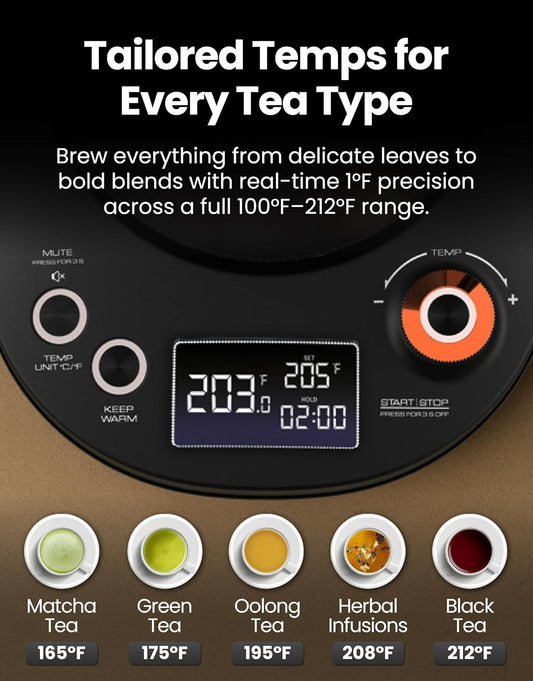 Viante Electric Gooseneck Kettle 0.8L, Pour Over Coffee & Tea, Temp Control | Boil-dry protection, keep-warm function, BPA-free stainless steel body. Includes #2 coffee filters