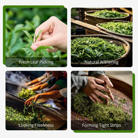 Yuexi Tie Guan Yin Oolong Tea Loose Leaf, Authentic Fujian Chinese High Mountain Iron Goddess of Mercy Tea, Fresh Hand-Picked Anxi Tieguanyin, Natural Floral Aroma Smooth Taste 安溪铁观音 乌龙茶 5.29oz/150g