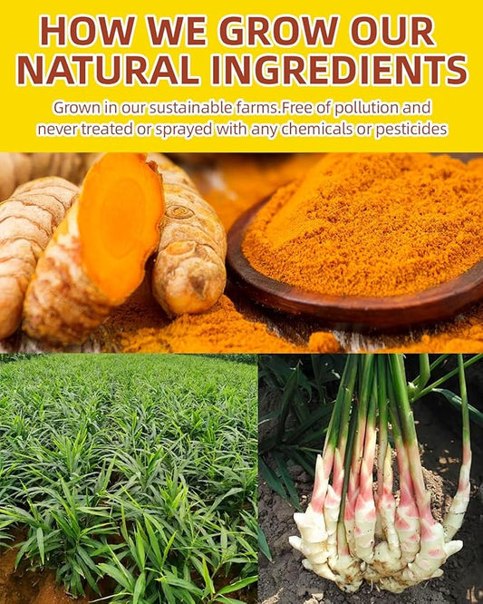 120 Premium Turmeric Ginger Cinnamon Tea Bags, 100% Natural Herbal Blend, Supports Digestion & Immune Health, No Sugar, No Caffeine, No Additives, Vegan, Premium Ingredients