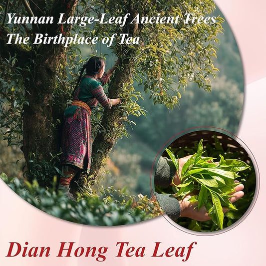 WT WEETEE Yunnan Black Tea Loose Leaf 228g, 110+ Servings Chinese Dianhong Loose Tea, Honey Aroma, Full Bodied, Mellow & Smooth, Energizing & Caffeinated