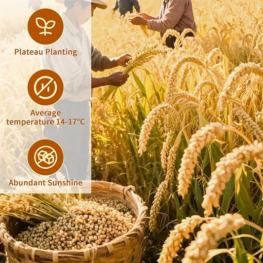 ANTAKUBU Buckwheat Tea,4.23oz/120g, Yellow Tartary Buckwheat,Soba Tea,Nature Soba Cha Herbal Tea,Delicious Authentic Taste,黄苦荞茶,Roasted Nuts Aroma,Gluten Free,Ideal for Gift