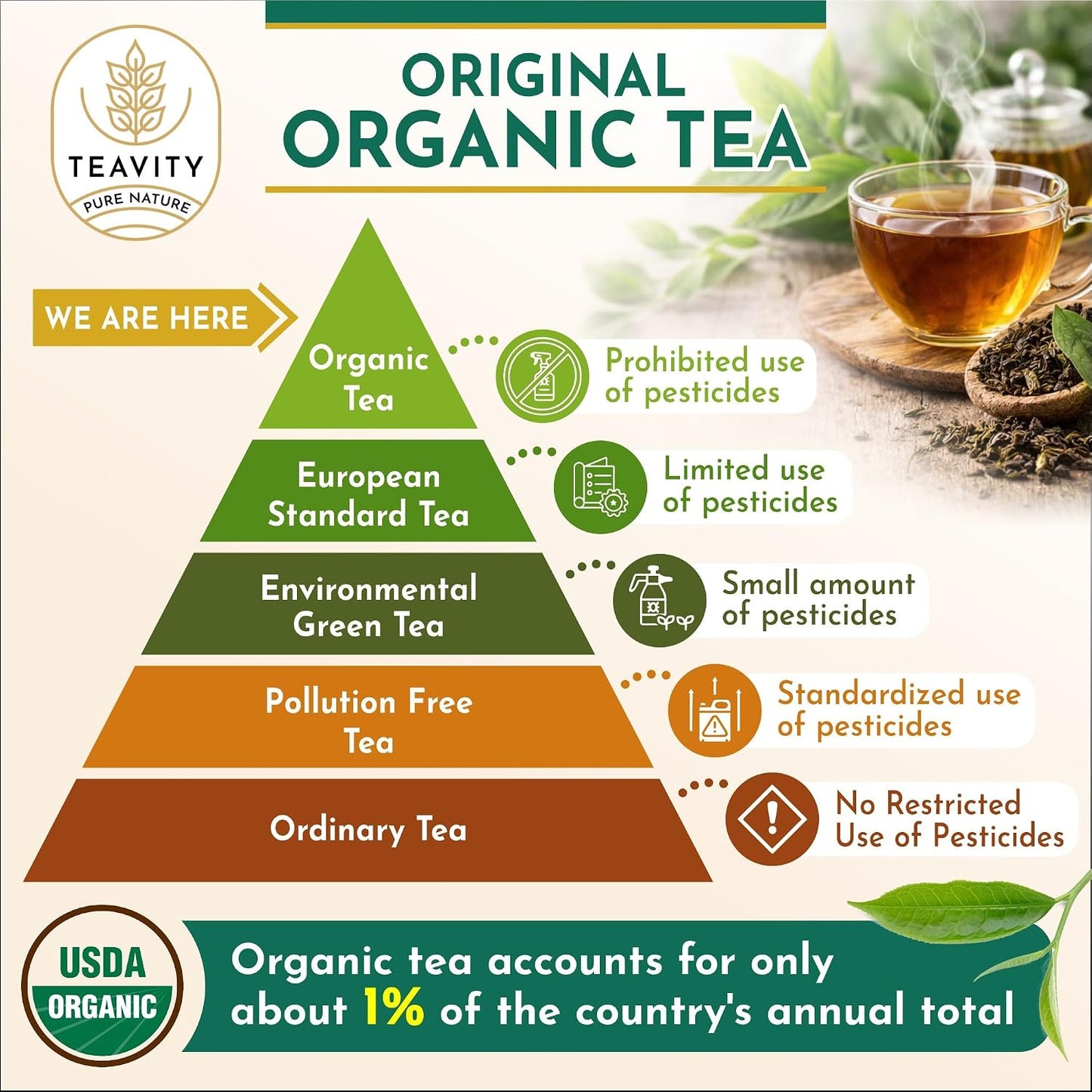 Organic Ashwagandha Tea Pods for Keurig with Ginger, Licorice, Organic Hibiscus Sabdariffa, Rosehip, & Lime - Decaf Herbal Tea - Energizing Tea by Teavity (12 Count (Pack of 1), Organic Energizing Tea)