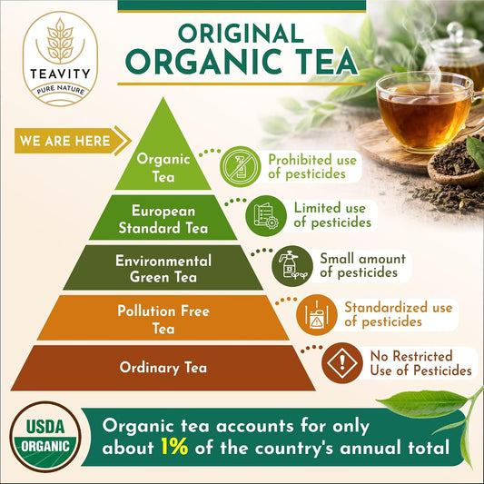 Organic Ginger Tea Pods for Keurig with Organic Peppermint Tea - Decaf Tea for K Cup Brewing Peppermint Ginger by Teavity (12