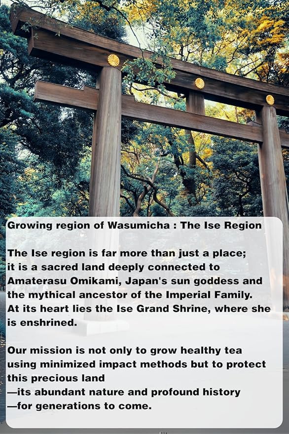 Wasumicha -Futatsu Japanese Green Sencha Tea unsweetened Biodegradable Teabag 20bags