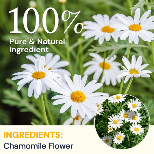 Chamomile Tea Bags