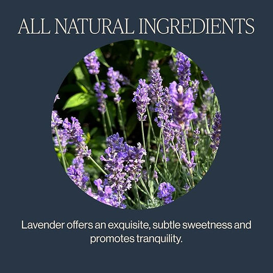 Rishi Tea Lavender Mint Herbal Tea - Organic, Caffeine Free Sachet Tea Bags, Calming Lavender with Peppermint & Sage - 50 Count