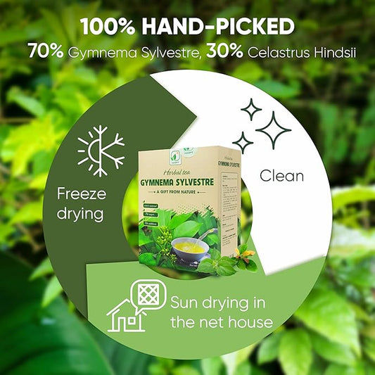 Nmpt Dried Gymnema Sylvestre Leaf Tea, Celastrus Hindsii, 100% Hand Pick, Organic Herbal Tea, 40 Count, Freeze Drying, Gluten Free, Dairy Free