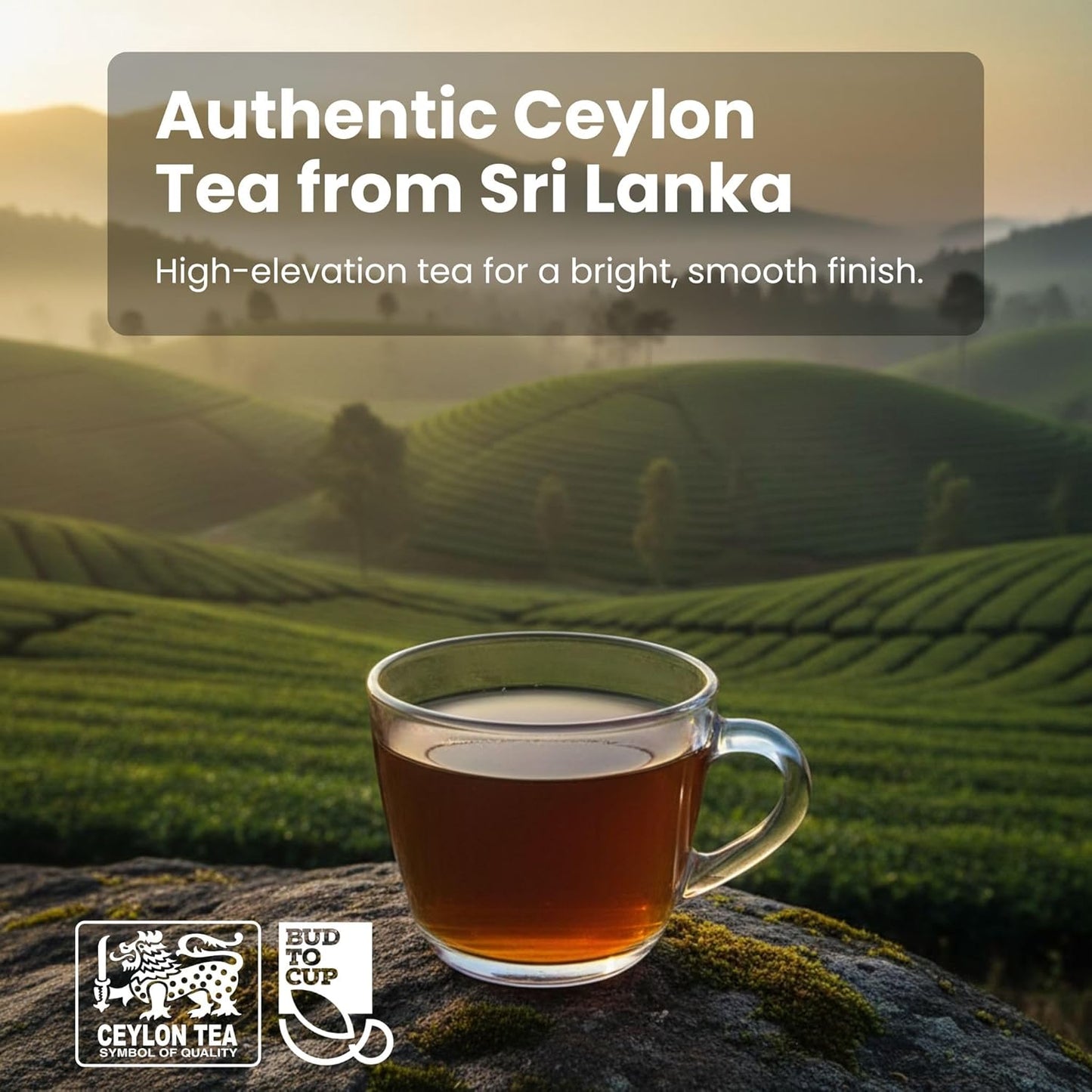 BUD TO CUP Ceylon Black Tea Bags, Classic Flavor – Sri Lankan Estate Black Tea with Warm Spice Notes, 20 Individually Wrapped Tea Bags