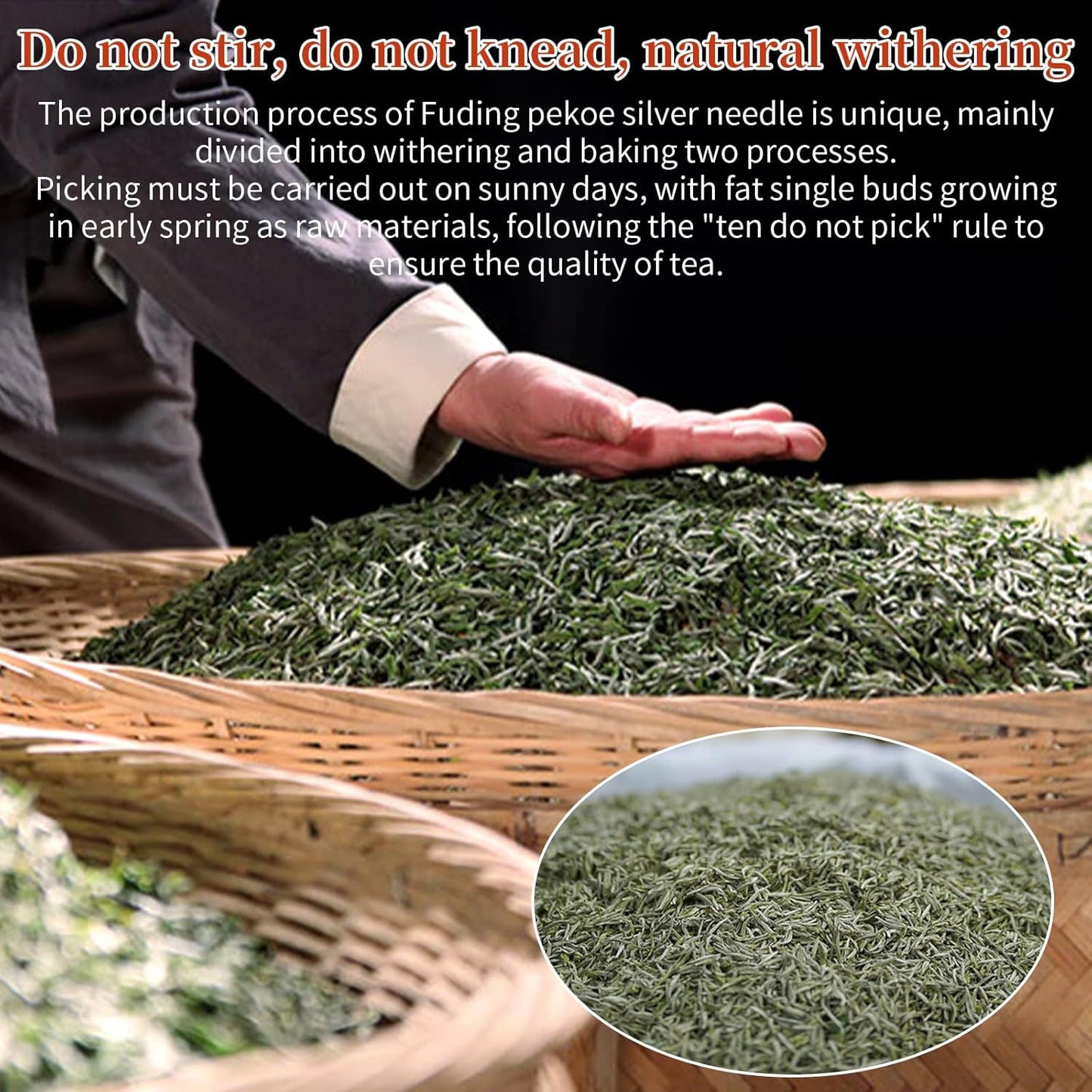Yuexi Bai Hao Yin Zhen White Tea, Fuding Origin, Premium Loose Leaf Tea,Hand-Picked Tender Buds, Delicate & Sweet 80g (2.8oz) 白毫银针 福鼎白茶