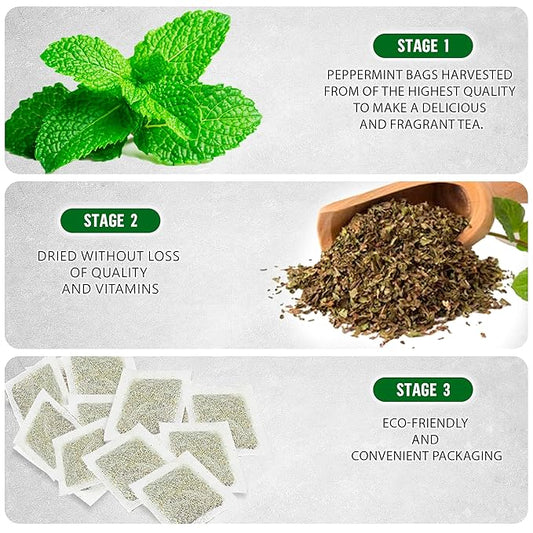 TeaDreamTea Peppermint Tea Bags - Alleviates Digestive Discomfort | Herbal, Aromatic & Caffeine Free | Healthy Mint Tea (200 Bags)