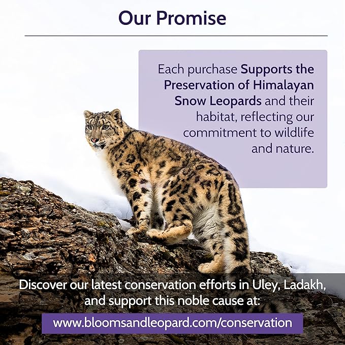 Blooms & Leopard Premium Herbal Tea with Chamomile, Rose Petals, Lavender, Valerian Root, Lemon Peel, 20 Herbal Tea Bags, caffeine-free - A Hummingbird's Holiday