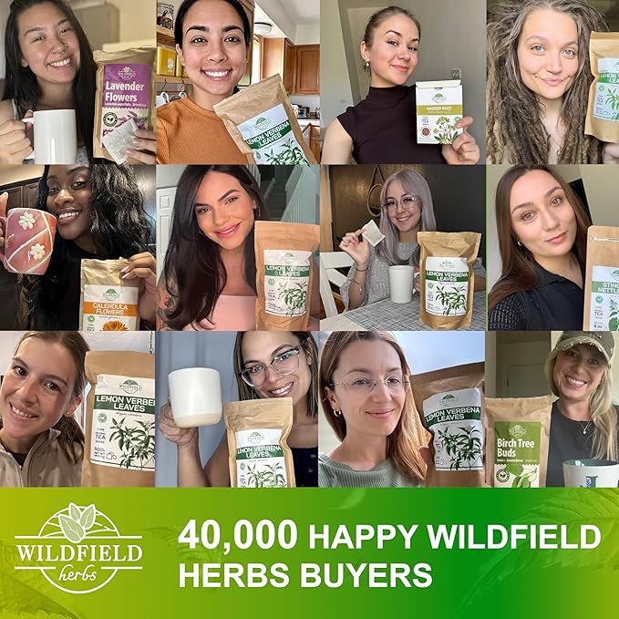 100 Bags Dandelion Leaf Root Tea Dandelion Tea Herbal (Taraxacum) - 100 Count 1.5g Bags Herbhojas Y Raíz De Diente De León