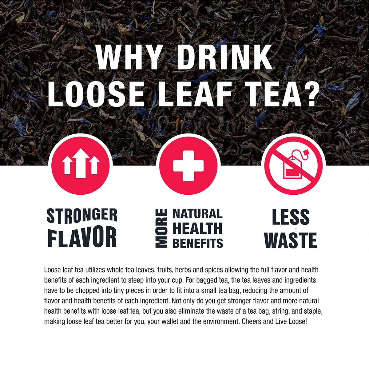 Tiesta Tea Loose Leaf Filters Disposable Infuser Drinks 100 Count
