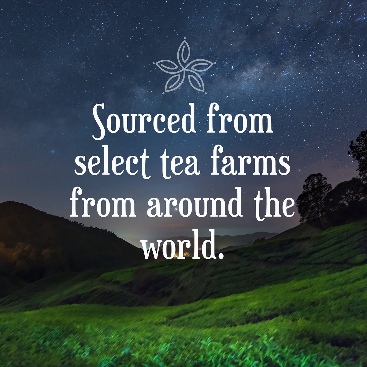 Constellation Tea Lemon Honey Chamomile Lullaby Tea Pods Compatible with K Cup Brewers Including 2.0, 40 Count