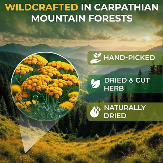 1.8 oz. Pishma Tea Tansy Flowers Herbal Tea (Tanacetum Vulgare L.) - 50g Dried Cut Tansy Flowers Herb