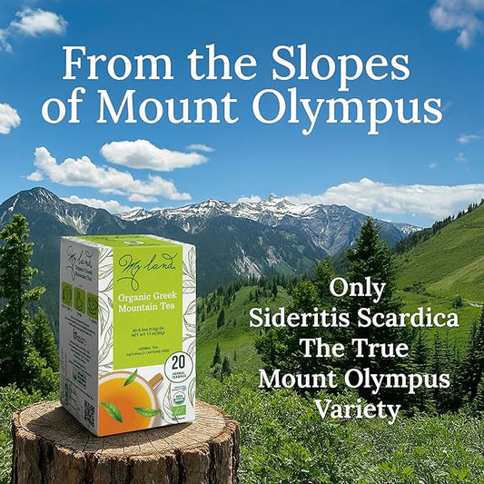 My Land Organic Greek Mountain Tea Bags – Sideritis Scardica Ironwort from Mt. Olympus, 20 Compostable Herbal Tea Bags, Caffeine-Free, Easy Steep Greek Tea