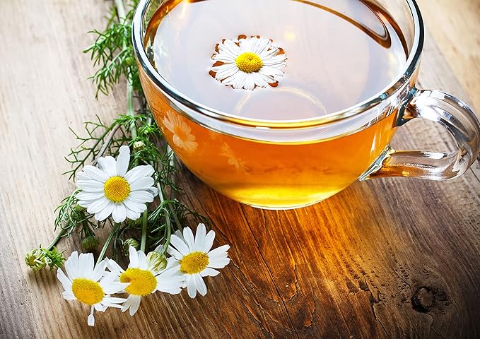 Cha4Tea 36-Count Pure Camomile Herbal Tea Pods Compatible with Keurig Brewers - Bedtime/Sleep-well/Nightly Calm/Relaxing Tea