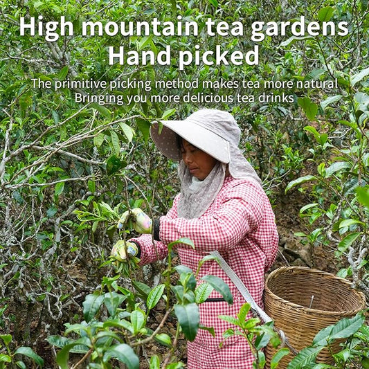 XIHETANK Black Tea Bags, 100 Count,Ancient Tree Black Tea,Full Sweetness Taste,Containing Caffeine, 100% Natural,Caffeinated tea,Can Be Soaked Hot or Cold (Honey Fragrant Black Tea) Black tea bags