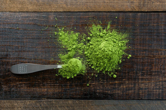 Organic Matcha green tea powder health benefits Steep Society