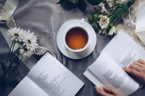 Black Tea | Organic Loose Leaf & English Breakfast | Steep Society