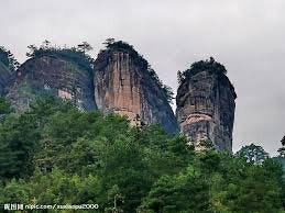 Jasmine Silver Needle White Tea,best white tea with all tippy- 1 LB Tea