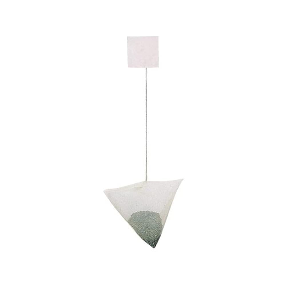 [Den's Tea] Pyramid Teabags, Authentic Japanese Sencha, Pack of 16 (Sencha)