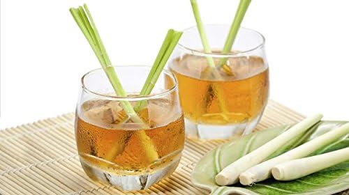 Lemongrass - Cymbopogon citratus Loose Leaf C/S (1 oz)