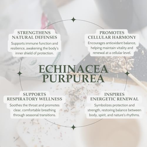 Organic Echinacea Purpurea 4 oz. (113g), USDA Certified Dried Echinacea Tea, Premium Quality Herb, Purple Coneflower, Cut & Sifted