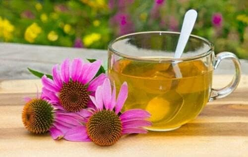 Echinacea Herb - Echinacea purpurea Loose Leaf C/S 100% from Nature (2 oz)