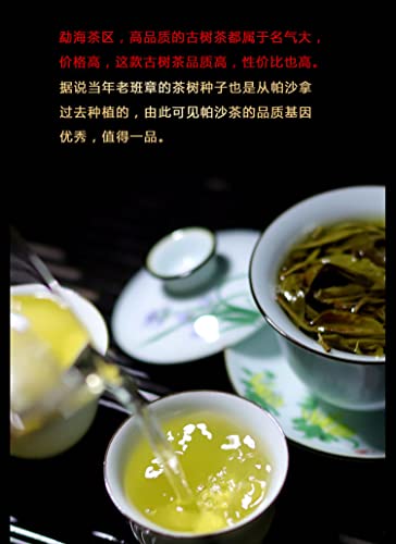 Sheng Jia Yuan 2020 Pasha Raw Pu-Erh Tea – 357g (12.6oz) Sheng Puerh Cake – Premium Chinese Tea