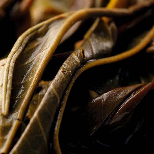 2019 Yiwu Raw Pu-erh Tea Cake – 357g / 12.6oz – Ancient Tree, Sweet & Smooth, Aged & Elegant, 易武 普洱生茶