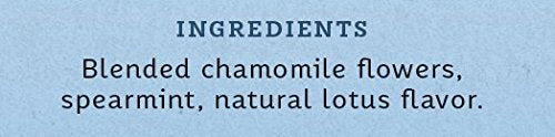 STASH Chamomile Nights Herbal Tea, 100 Bags Bulk Pack, Caffeine Free