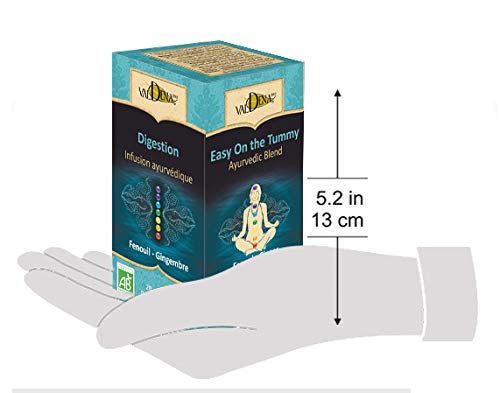 Valdena Bio Ayurvedic Blend Ginger Fennel Tea Bags Organic Infusion (Pack of 3, Total of 60 Individually wrapped Tea Bags) Herbal Tea, Fennel Ginger Tea Caffeine free Fennel tea bags for digestive support