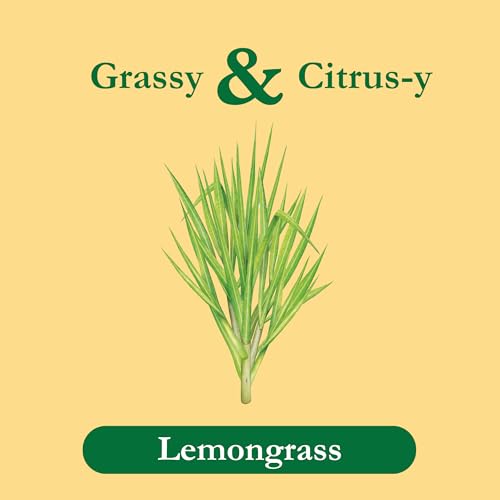 Tadin Lemongrass Herbal Tea, Caffeine Free, 24 Tea Bags Per Box, Pack of 6