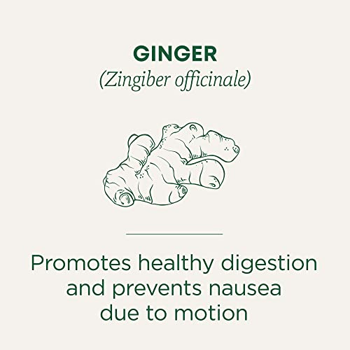Traditional Medicinals Tea, Organic Ginger, Healthy Digestion, Pleasantly Spicy & Warming, 16 Tea Bags